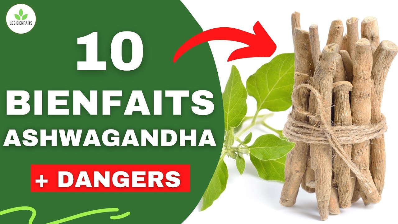 LES DANGERS ET BIENFAITS DE L'ASHWAGANDHA (GINSENG INDIEN)