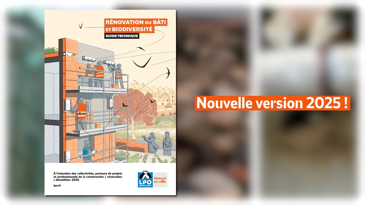 Découvrez la nouvelle version du Guide Rénovation du bâti et biodiversité