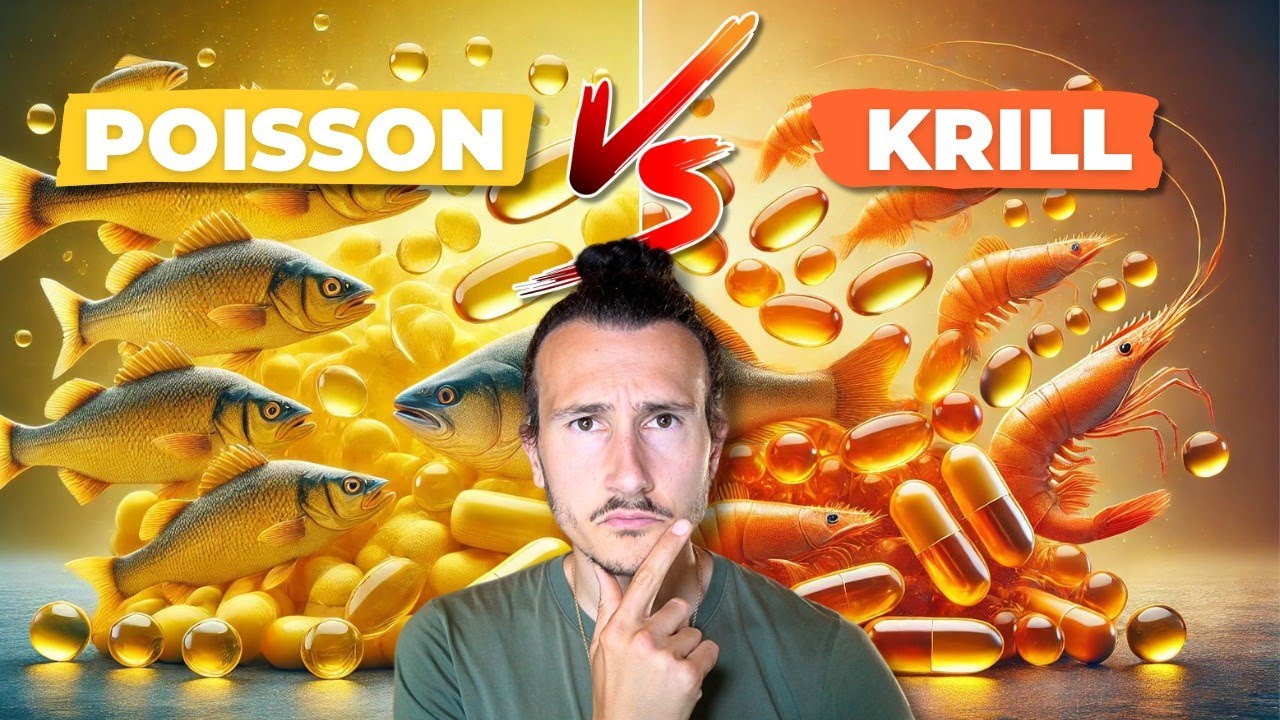 Huile de Krill VS. Huile de Poisson (oméga-3) 🐟🦐